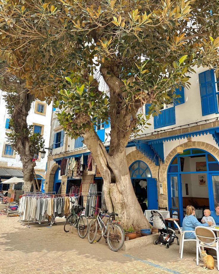 imperial cities morocco