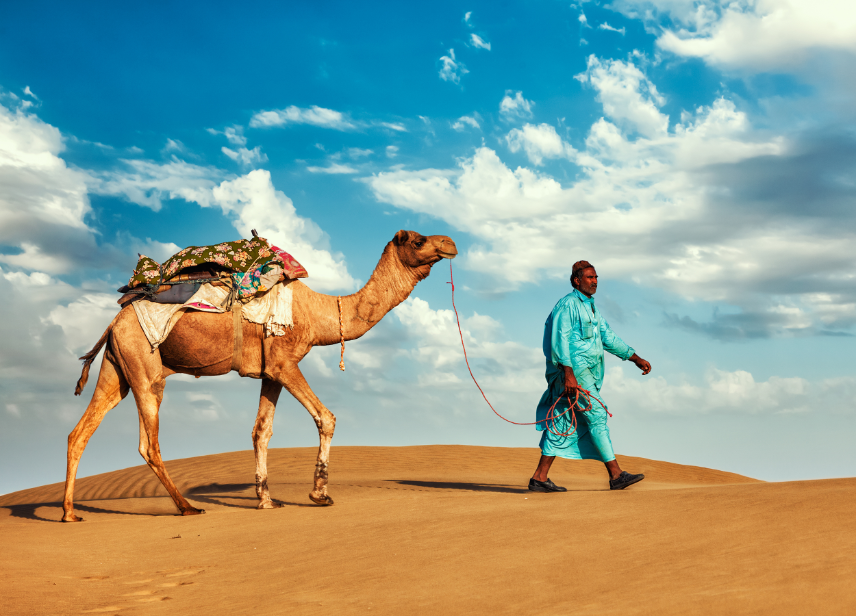 morocco sahara trips