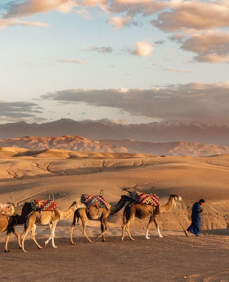 morocco imperial cities tour