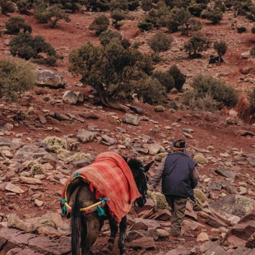 morocco mountain tours