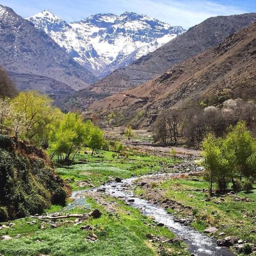 morocco hotel booking