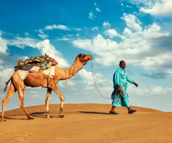 morocco sahara trips