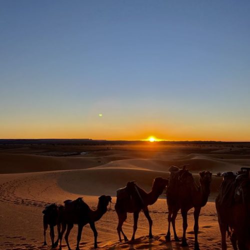 morocco travel experts